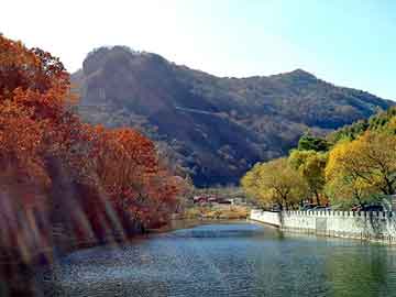 新澳天天开奖资料大全旅游团，盛开 小说